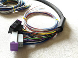 ECUMASTER Pre-Assembled Wiring Harness